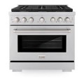 ZLINE 36 in. Paramount Dual Fuel Satin Steel Range w/ 6 Burners & Convection Oven (SDRS-36) - Stainless Steel