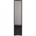 MartinLogan - Renaissance Dual 12