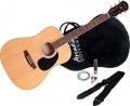 Arcadia - DL Series Full-Size Dreadnought Acoustic Guitar - Natural