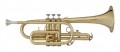 Blessing - Student Brass Cornet - Brass